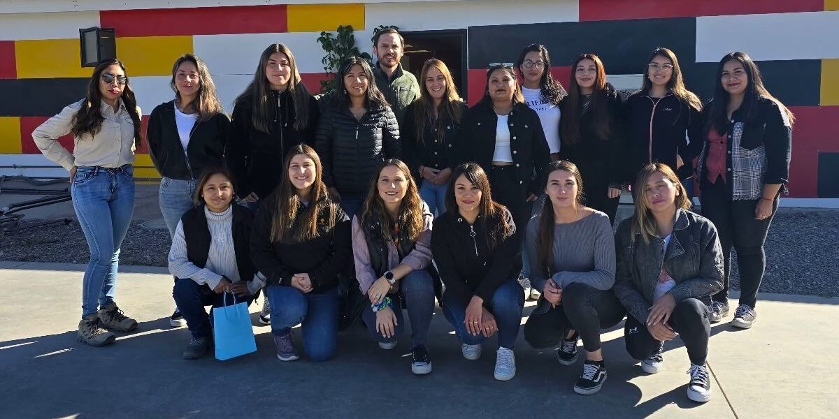 WhatsApp Image 2024-12-19 at 15.53.37