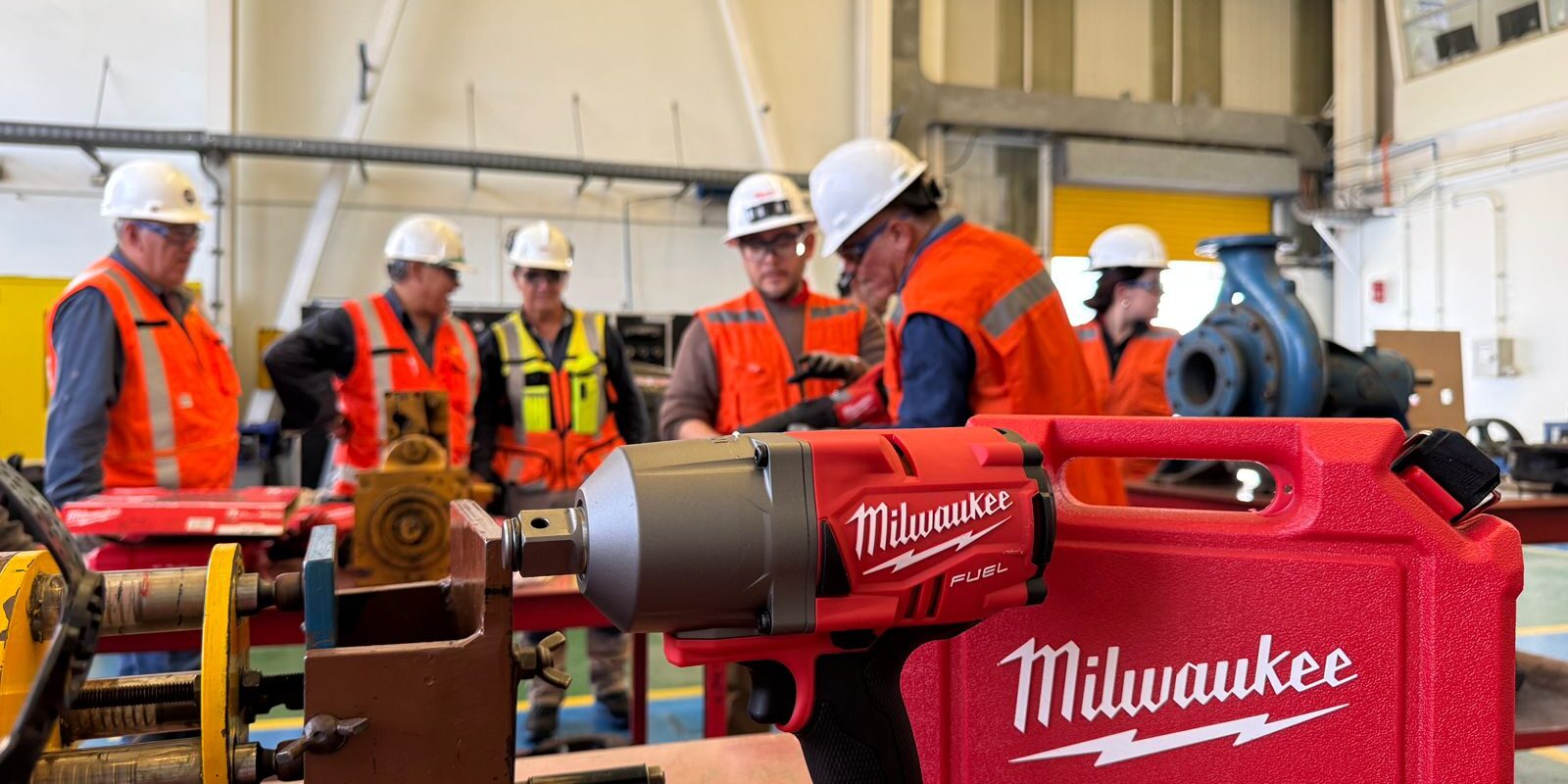 WhatsApp Image 2025-01-09 at 11.59.29