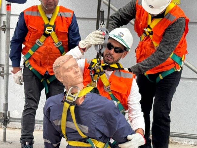 WhatsApp Image 2025-01-14 at 9.50.47 AM (1)